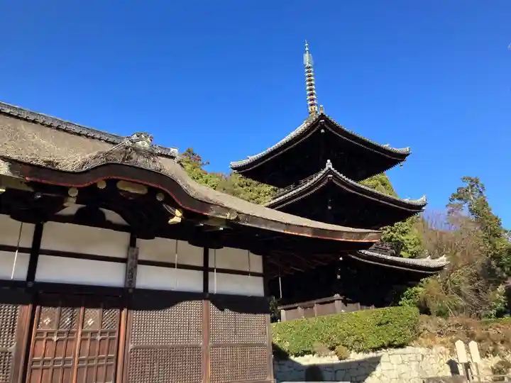 園城寺(三井寺)(滋賀県)