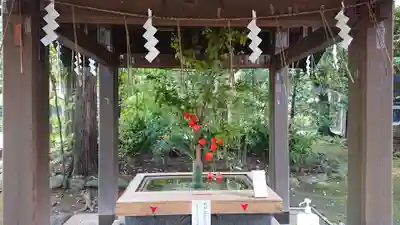 赤坂氷川神社のその他建物