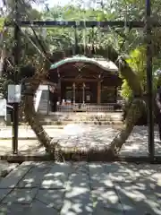 御田八幡神社の本殿