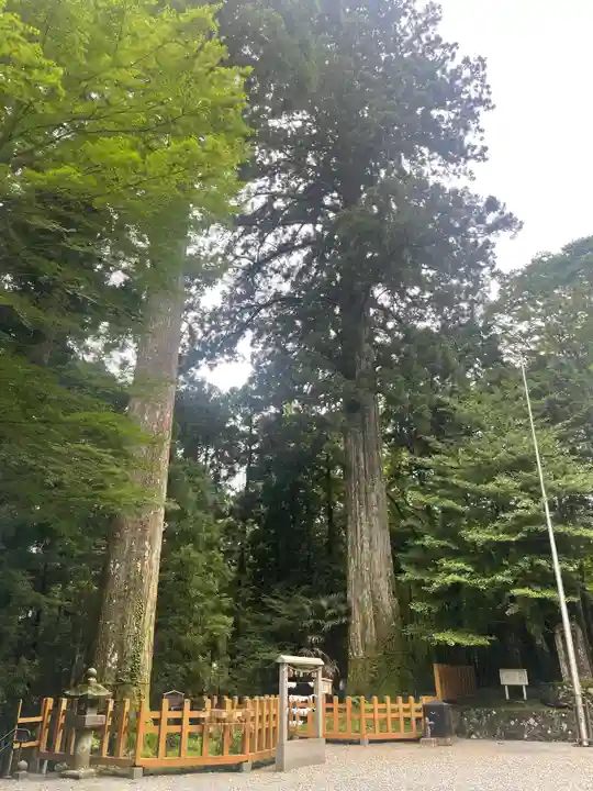 須山浅間神社(静岡県)