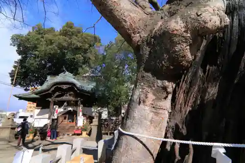 阿邪訶根神社の本殿・本堂