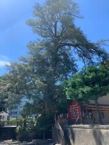瀬戸神社の自然