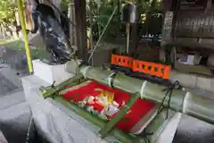 護王神社の手水