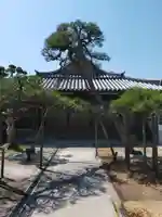 西方寺(奈良県)