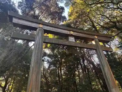 明治神宮(東京都)