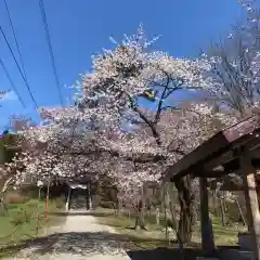 新得神社の自然