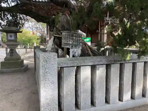 高砂神社の自然