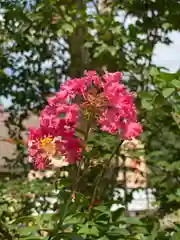 白鷺神社の自然