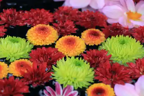 大鏑神社の手水舎