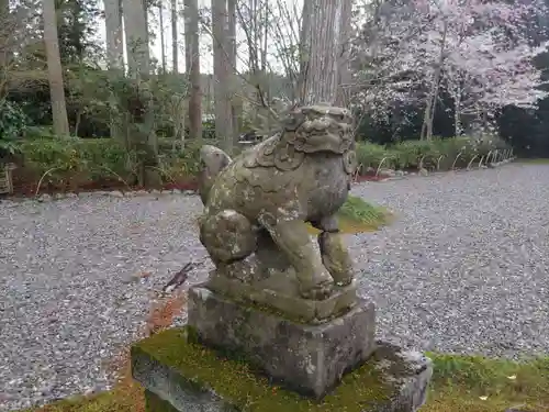 國吉神社の狛犬