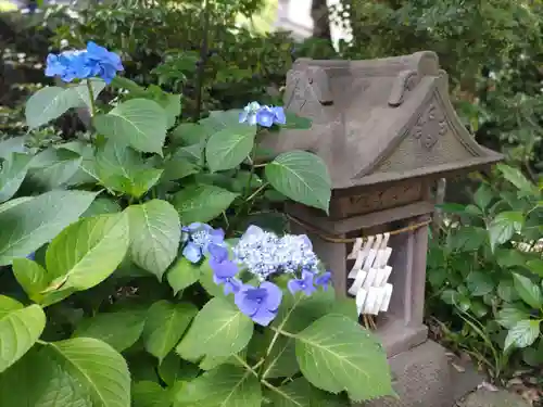 菊田神社の自然