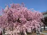 岡崎天満宮(愛知県)