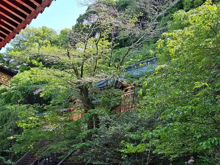 静岡浅間神社の自然