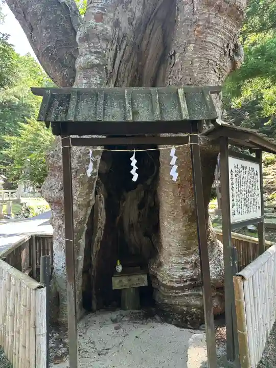 金華山黄金山神社(宮城県)