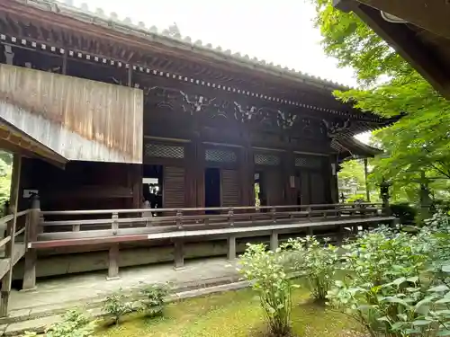 柳谷観音　楊谷寺(京都府)