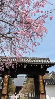 妙顯寺（妙顕寺）(京都府)