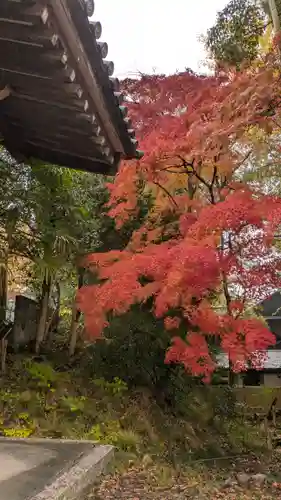 宝積寺(京都府)