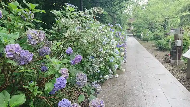 大聖寺(土浦大師不動尊)のその他建物