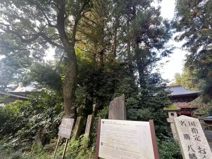 那須神社(栃木県)