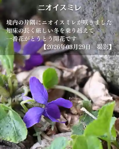 宝光寺(北海道)