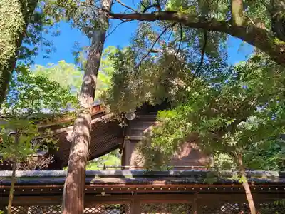 伊弉諾神宮の本殿・本堂