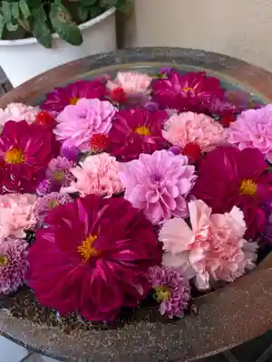 心行寺(東京都)