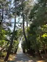 豪徳寺のその他建物