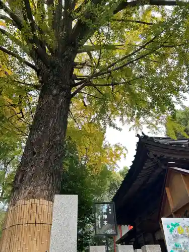 田無神社(東京都)