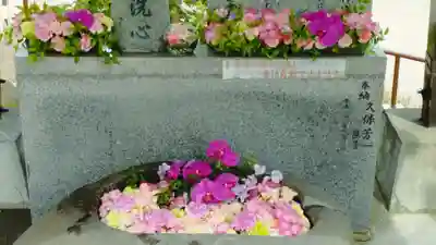 手稲神社(北海道)