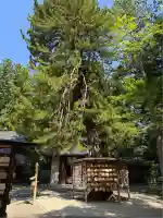 大崎八幡宮(宮城県)