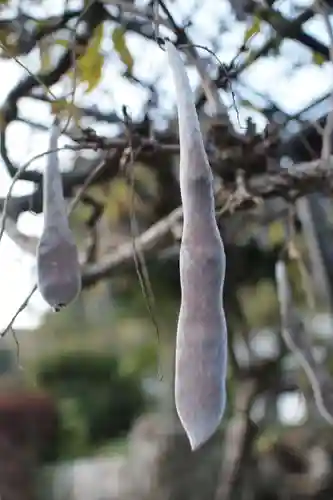 正法寺の授与品その他