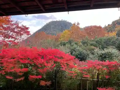 光悦寺(京都府)