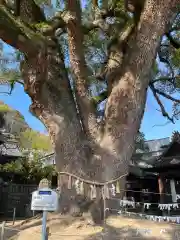 艮神社(広島県)