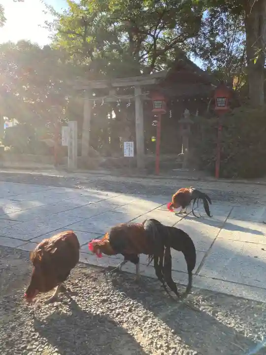 助松神社(大阪府)