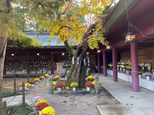 笠間稲荷神社の庭園