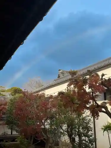 仁和寺(京都府)