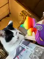 賀茂別雷神社(栃木県)