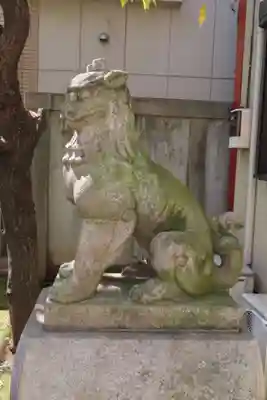 吉原神社の狛犬