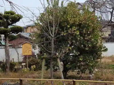 橋寺 放生院(京都府)