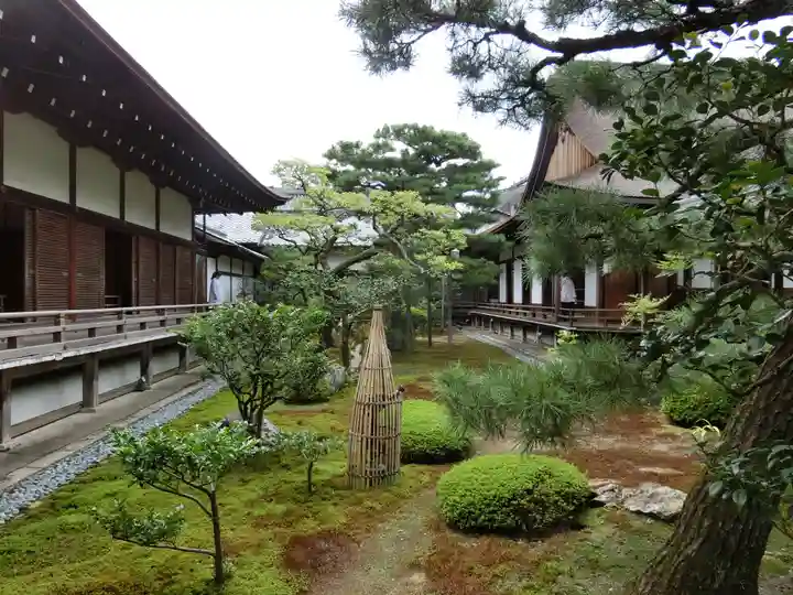 大覚寺の庭園
