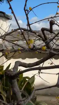 西岸寺(京都府)