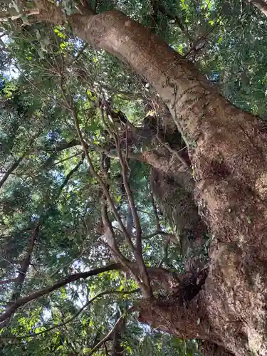 山神神社の自然