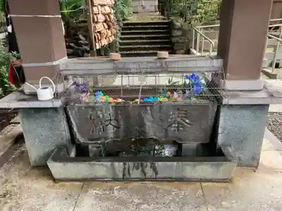 北澤八幡神社の手水舎