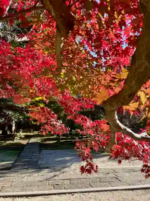 東漸寺(千葉県)
