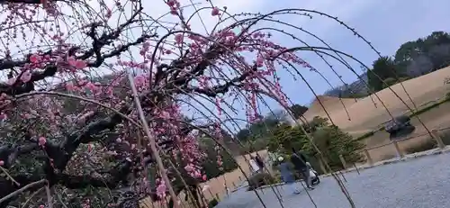 出水神社の自然