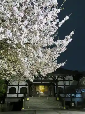 感通寺の本殿・本堂