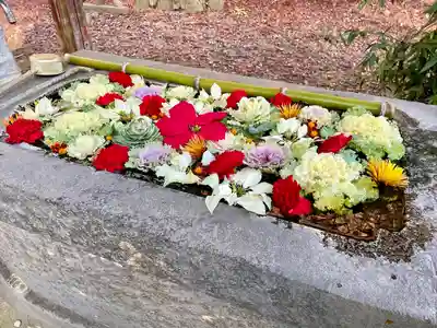 千代ケ岡八幡宮(栃木県)