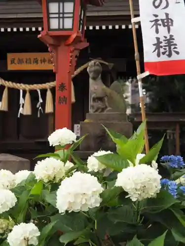 川越八幡宮の狛犬