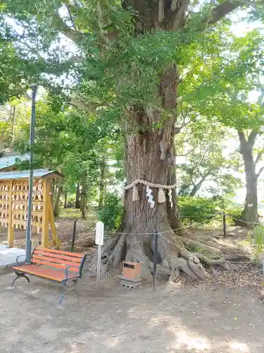白子神社(千葉県)