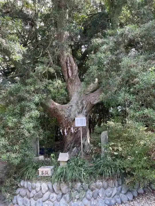 白羽神社(静岡県)